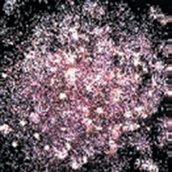 fejerverk-zapah-hvoi-r7486-4